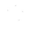 Logo ESY PROLEAGUE